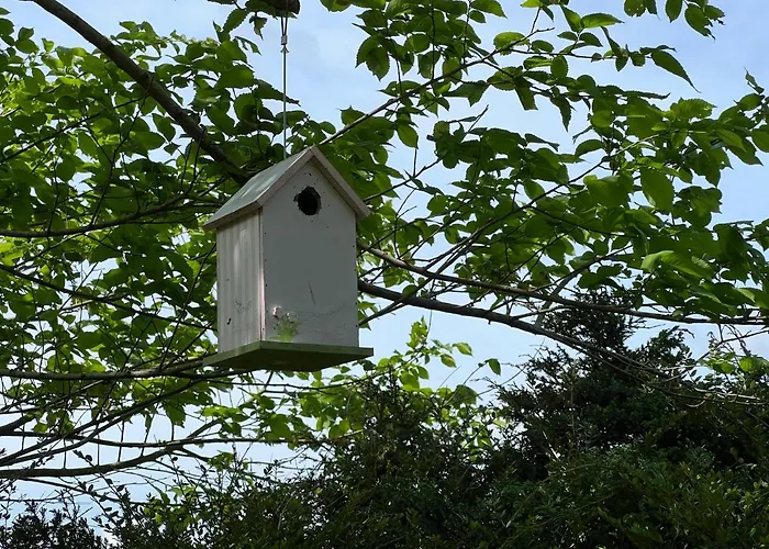 Διαμέρισμα Schmidt's Plaats Norden